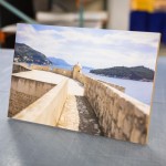 Birch - Image 1