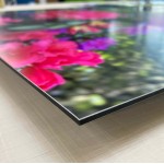 Dibond - Image 3