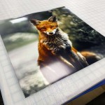 Paper Prints - Image 2