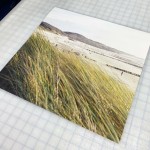 Paper Prints - Image 3