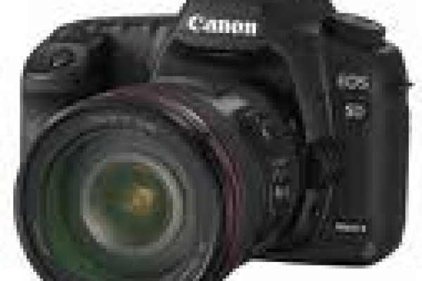 The Basics of Digital SLR Cameras