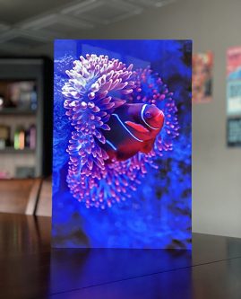 Bumblejax Vibrant Metal Print - Glossy Chromaluxe WEB Bumblejax Vibrant Metal Print - Glossy Chromaluxe WEB